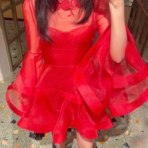 Elegant Red Sheer Dress